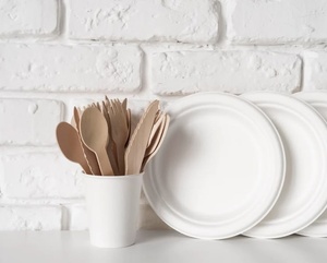 Cuillère moderne en bois de bouleau écologique 155 mm, couverts jetables pour hôtels, compagnies aériennes et services de livraison de repas, pour coupes à glace et desserts - Product Image 1