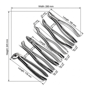 DETAIN IMPEX Ensemble de forceps d'extraction dentaire en acier inoxydable, instruments chirurgicaux buccaux pour l'extraction dentaire, manuel, Classe I CE - Product Image 2