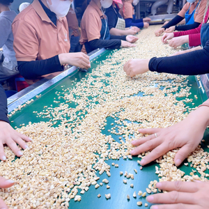 Wholesale Cheap Cashew <b>Kernel</b> SANTIGO Cashew <b>Nuts</b> Broken WS LP SP BB <b>Nuts</b> <b>Kernels</b> Customized Cutting Size - Product Image 6