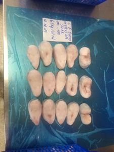 สเต็กปลาแพนกาซิอุสแช่แข็ง IQF เกรด A จากเวียดนาม จำหน่ายแบบขายส่ง อายุการเก็บรักษา 24 เดือน - Product Image 1