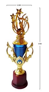 Victory Cricket Best Player <b>Trophy</b> Award for Cricket Tournament Golden 16 inches - Product Image 2