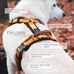 Harnais pour animaux de compagnie tendance, ajustement confortable, coutures durables, tissu respirant pour les promenades quotidiennes, les voyages et les activités de plein air - Product Image 2