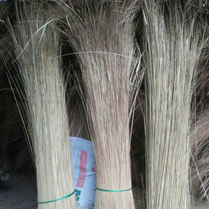 ไม้กวาดทำจากแกนมะพร้าวธรรมชาติ 100% คุณภาพพรีเมียมสำหรับตลาดโลก - Product Image 2