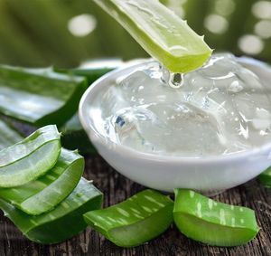 FRESH PRODUCT | NATURAL ALOE VERA <b>JELLY</b> | HEALTHY REFRESHING TOPPING FOR MODERN BEVERAGES - Product Image 6