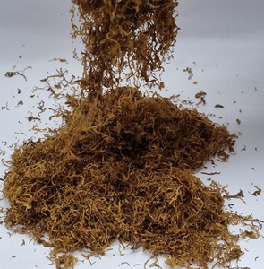 12 Herbes dorées 4 Virginia Amber Leaf, prix usine en vrac, herbes à rouler, type Amber Leaf, herbe dorée, fourniture d'usine - Product Image 4