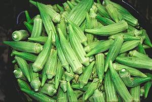 Okra vert frais – Meilleure qualité, biologique, frais, vente en gros du Vietnam // M. Tom - Product Image 6