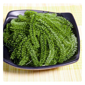 RAISINS DE MER FRAIS-ALGUES DU VIETNAM-QUALITÉ PREMIUM - Product Image 3