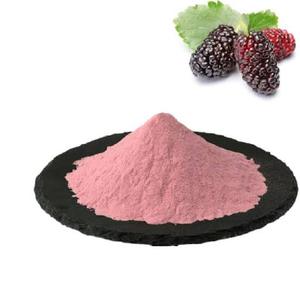 Poudre d'extrait de fruit de mûrier lyophilisée, extraite par solvant, 60% d'anthocyanes, qualité alimentaire, Gujarat, Aliments fonctionnels, Plantation - Product Image 5