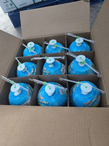 Pulpe de noix de coco jeune fraîche, fruit tropical sucré, pulpe blanche, qualité supérieure, approvisionnement en vrac du Vietnam pour la restauration et les boissons - Product Image 3