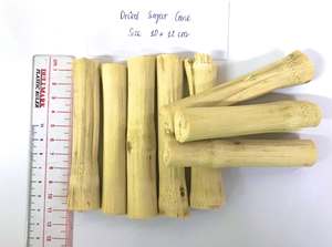 Palitos de Caña de Azúcar Congelada Premium, Proveedor de Vietnam, Caña de Azúcar Congelada Natural, Caña de Azúcar Fresca de Grado Alimenticio, Venta al Por Mayor - Product Image 4