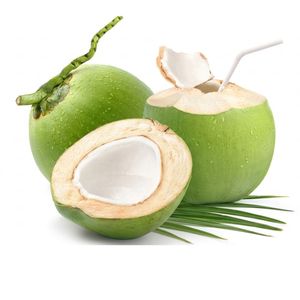 Coco Tierno Vietnamita Fresco de Alta Calidad para Importadores en Todo el Mundo - Product Image 1