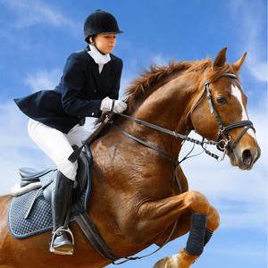 Fusta de polo lista para el campo, diseño duradero para el control del jinete, manejo equilibrado, entrenamiento y juego ecuestre, fusta de cuero para caballo - Product Image 6