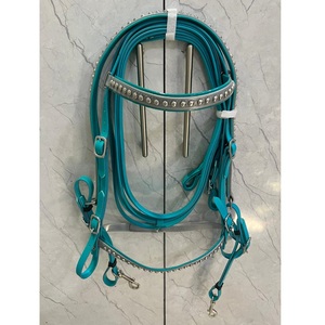 Cabezada de Turquesa con Sujeción de PVC (BIOTHENE), Frontal y Narquera con Tachuelas Metálicas, Cómoda, Duradera, Impermeable y Personalizable para Caballo - Product Image 1