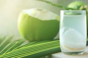 Cubos de Coco Fresco con Corte Diamante para Bebidas y Postres, Suministro al por Mayor - Product Image 3