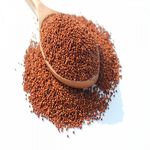Graines de millet fraîches pour des boulles de petit-déjeuner nutritives, la pâtisserie et des plats traditionnels, avec une saveur naturelle, céréales propres - Product Image 6