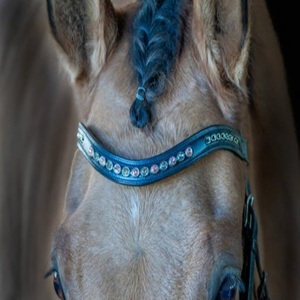 Diadema de cuero acolchada clásica hecha a mano con cristales y pedrería Mega Bling incrustados en canales vacíos, disponible en tallas Full y Cob. - Product Image 2