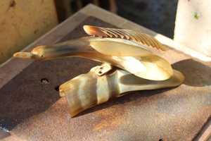 Pieza decorativa de cuerno natural diseñada para exhibición en la sala de estar y el interior del hogar, diseño de pez en cuerno natural de búfalo. - Product Image 5