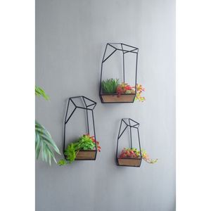 Set di 3 Fioriere da Parete Felix nelle Misure L, M, S per Esposizione di Vasi e Fioriere - Product Image 1