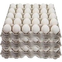 Œufs de poule frais blancs, œufs de table, carton de 30 unités
