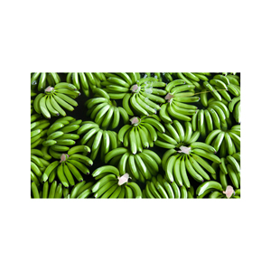 Bananes Cavendish vertes de haute qualité, fraîches de la ferme, produits naturels pour la transformation alimentaire et la distribution commerciale en gros - Product Image 3