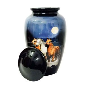 Urna Funeraria de Aluminio de Alta Calidad, Estilo Americano, para Cenizas Humanas o de Mascotas, 10 Pulgadas, Capacidad de 200-220 Pulgadas Cúbicas - Product Image 2