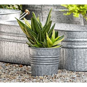 Vente en gros de jardinières ovales en métal galvanisé rustique, décoratives pour jardin extérieur, bacs à succulentes, pots à fleurs avec poignée - Product Image 5