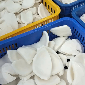 Venta al por mayor de carne de coco congelada IQF de Vietnam para alimentos, para importadores globales de snacks y paquetes de alimentos exóticos por 99 Gold Data - Product Image 6