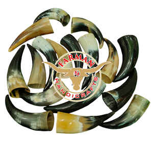 Mini Cuerno Vikingo para Beber, Acabado de Alta Calidad, Cuerno de Buey Blanco y Negro, Pequeño, Hecho a Mano, al Mejor Precio - Product Image 4