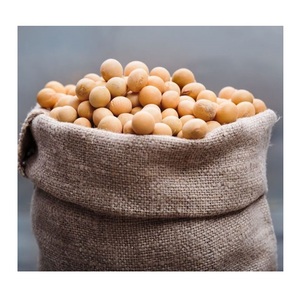 Soja non-OGM de qualité supérieure, soja bon marché en gros, soja à vendre - Product Image 2