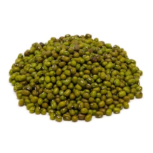 Organic Indian Sabut Moong Whole Green Gram Dried Lentil Bulk Packs for Healthy Food - Product Image 1