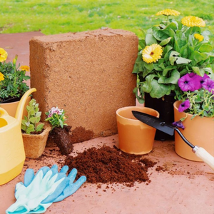 Bloque de Fibra de Coco Orgánica Premium Triple Lavada - Bajo EC, pH Equilibrado, Alta Retención de Agua, para Plantas de Interior y Semillas - Product Image 5