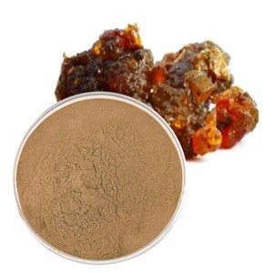Extracto de Guggul 100% Puro y Natural, 10% en Polvo, Grado Alimenticio, Resina de Guggul en Polvo para Suplemento Dietético Saludable, Superventas - Product Image 3