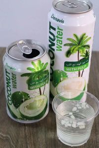 Vente en gros de boisson naturelle à base de noix de coco Denavis 330 ml avec pulpe, en canette aluminium, OEM/ODM, marque privée, fournisseur RFQ - Product Image 2