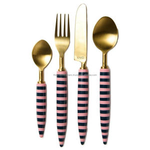 Juego de Cubiertos con Acabado Espejo, Mangos de Resina, Aptos para Lavavajillas, Estilo Francés, Juego de Cubiertos Plateados, Soporte OEM, Precio al por Mayor - Product Image 3