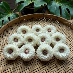 VADEE SOLA WOOD FLOWER Craft Handmade Sustainable Flower 5.5 CM Sesbania Plant Fiber Rod Thailand Model VDXXX-071 - Product Image 1