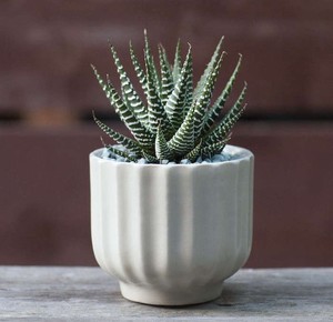 Pot de fleurs en céramique émaillée décoratif, motif vibrant, finition durable, support pour plantes d'intérieur, décoration moderne élégante pour la maison - Product Image 4