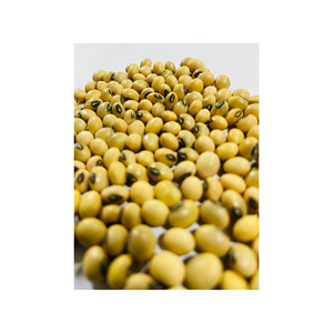 ถั่วเหลืองสีเหลืองคุณภาพสูงเกรดพรีเมียมสำหรับส่งออกอาหาร - Product Image 6