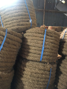 Premium Natural Coconut Coir <b>Rope</b> for Agriculture & Gardening - Product Image 6