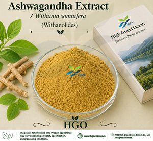 Suministro directo de fábrica de HGO EXTRACTO DE Ashwagandha/Withania somnifera (grado alimenticio) Withanolides 5% (extracto estandarizado) - Product Image 1
