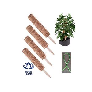 Poteau en fibre de coco durable de haute qualité Blue Lotus |   Bâton de Soutien pour Plantes Naturel Pur au Design Moderne - Product Image 5