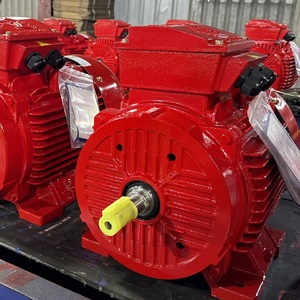 Moteur électrique triphasé AC asynchrone industriel OEM IP55 IP56 avec boîtier en fonte, résistant à la chaleur, classe C - Product Image 2