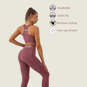 Nouvel ensemble de yoga sans couture 2 pièces : soutien-gorge et legging pour femme – Tenue d'entraînement et shorts de yoga sans couture - Product Image 3