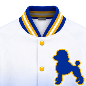 Chaqueta Bomber Personalizada Sigma Gamma Rho para Mujer, Chaqueta de Moda para Hermandad Griega, Chaqueta Casual con Cierre, Fabricante Mayorista OEM ODM - Product Image 3