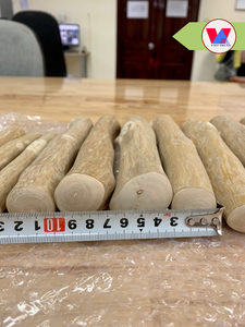 ไม้กาแฟคุณภาพสูง เป็นมิตรกับสิ่งแวดล้อม สำหรับเด็กกัดเล่น ช่วยทำความสะอาดฟัน บรรเทาความเครียด ของเล่นที่ยั่งยืน ขนาด 20 ซม. - Product Image 5