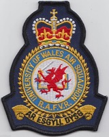 Patch brodé 3D en relief personnalisé BBRF pour soutien des motards, en PVC, avec design thermocollant sur tissu personnalisé