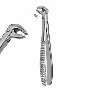 Pinces chirurgicales manuelles pour extraction dentaire, modèle Fig. 73, pour molaires inférieures, instrument dentaire spécifique, modèle anglais, Pakistan - Product Image 1