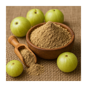 Poudre de fruit d'Amla en vrac, ingrédient alimentaire naturel pour la transformation alimentaire commerciale - Product Image 3