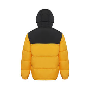 Veste d'hiver matelassée personnalisable pour homme North Face avec capuche, manteau d'hiver en duvet avec motif de lettres de conception OEM - Product Image 3