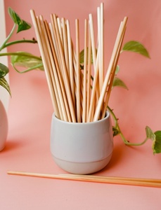 Pajitas Reutilizables Ecológicas de Bambú Sostenible para Cócteles, Refrescos, Catering al Aire Libre, Bebidas Calientes, Fiestas y Jugos - Product Image 1