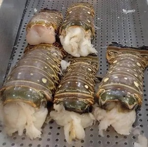 Live spiny lobster ทั้งอาหารทะเลสดใหม่ที่จับได้30ซม. บรรจุภัณฑ์สำหรับร้านอาหาร - Product Image 4